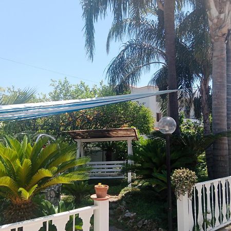 B&B Ciro Πομπηία Εξωτερικό φωτογραφία